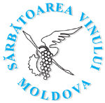 SV_logo.gif